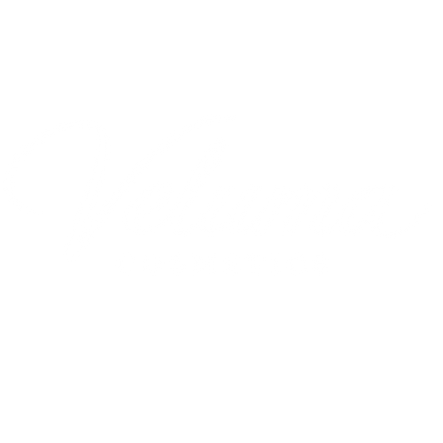 VELUMA COSMETICS